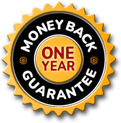 RhythmONE oneYear